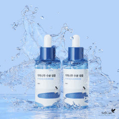 ROUND LAB Birch Juice Ampoule 50ml