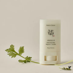 BEAUTY OF JOSEON MATTE SUN STICK 18G