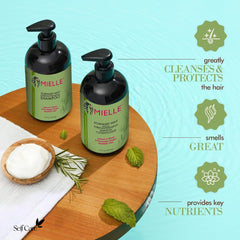 Mielle Organics Rosemary Mint Strengthening Shampoo Infused with Biotin