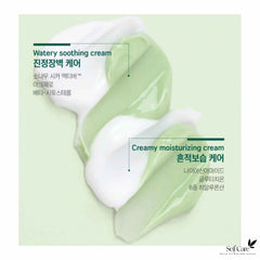 ROUND LAB Pine Calming Cica Cream Plus 60ml