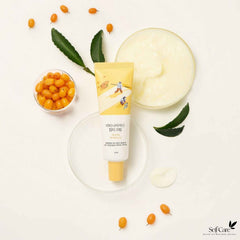 ROUND LAB *renewal* Vita Niacinamide Dark Spot Cream 50ml