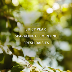 Bath & Body Works Gingham Fresh 236ml